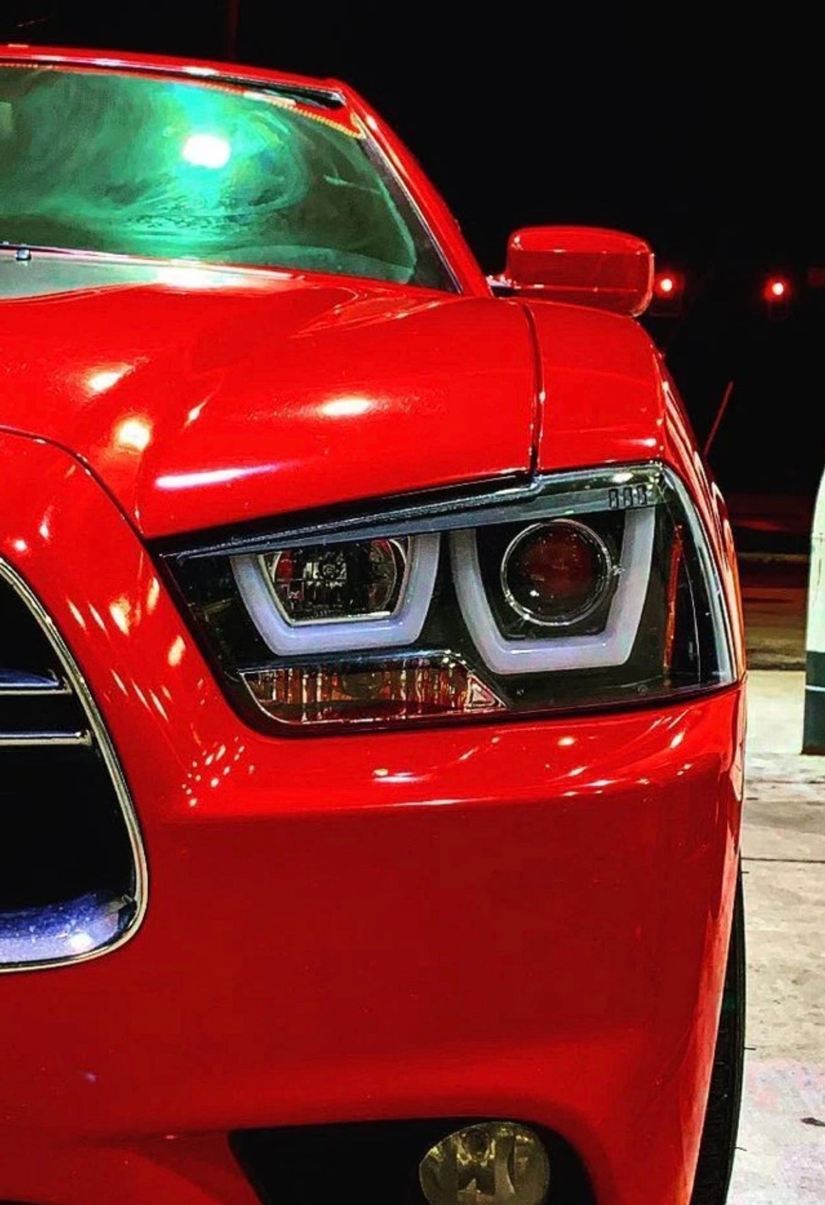 Grizzly Custom Headlights